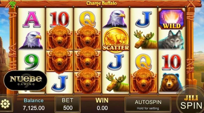 Charge Buffalo