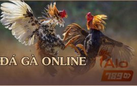 Đá gà online là gì? Chiến thuật chơi đá gà online hiệu quả