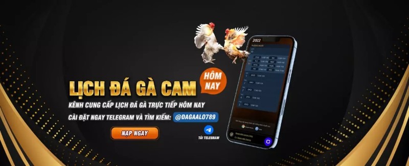 Đánh giá giao diện nhà cái Alo789