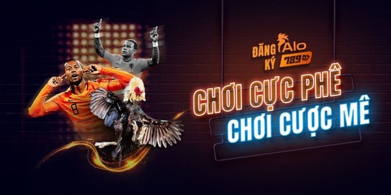 Giới thiệu nhà cái Alo789