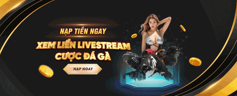 Xem liền Livestream cược đá gà