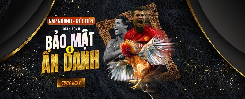 Bảo mật ẩn danh Alo789