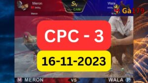 Đá gà thomo CPC3 16-11-2023